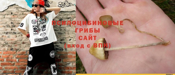 гидропоника Надым