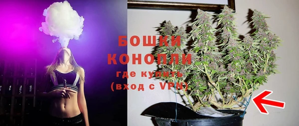 ПСИЛОЦИБИНОВЫЕ ГРИБЫ Наволоки