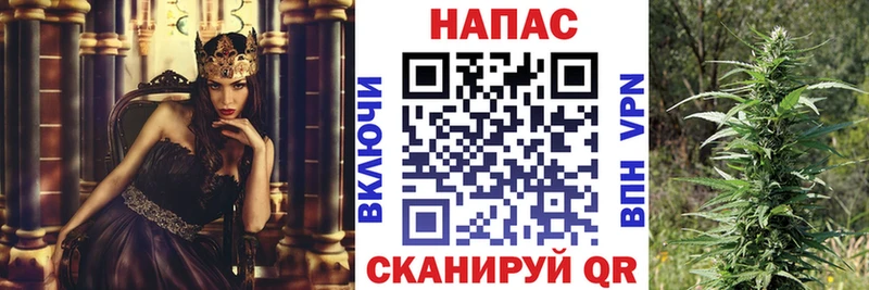 купить наркотик  Соль-Илецк  Бошки Шишки SATIVA & INDICA 